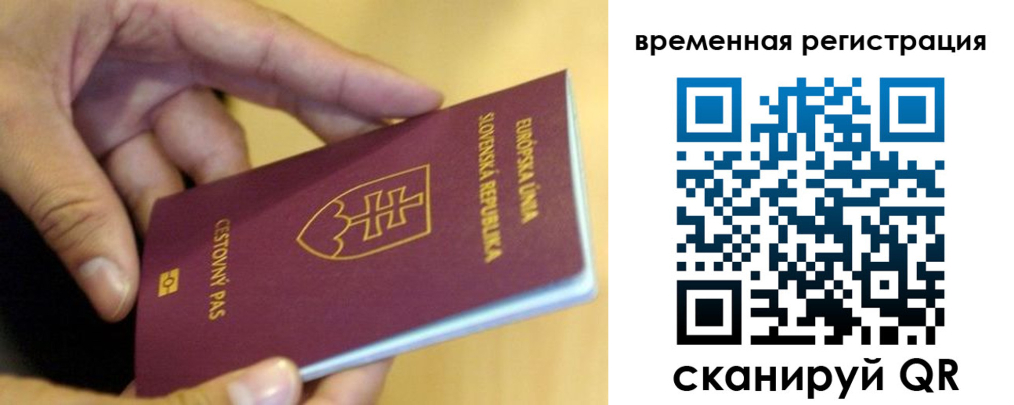 прописка для военкомата в Мытищах